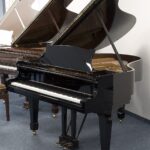 gebrauchter Steinway & Sons Flügel M-170, Baujahr 1948, mit 3 Pedalen